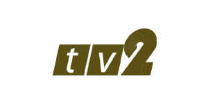 MS_Tv2.png